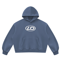 LD Boxy Fleece Hoodie