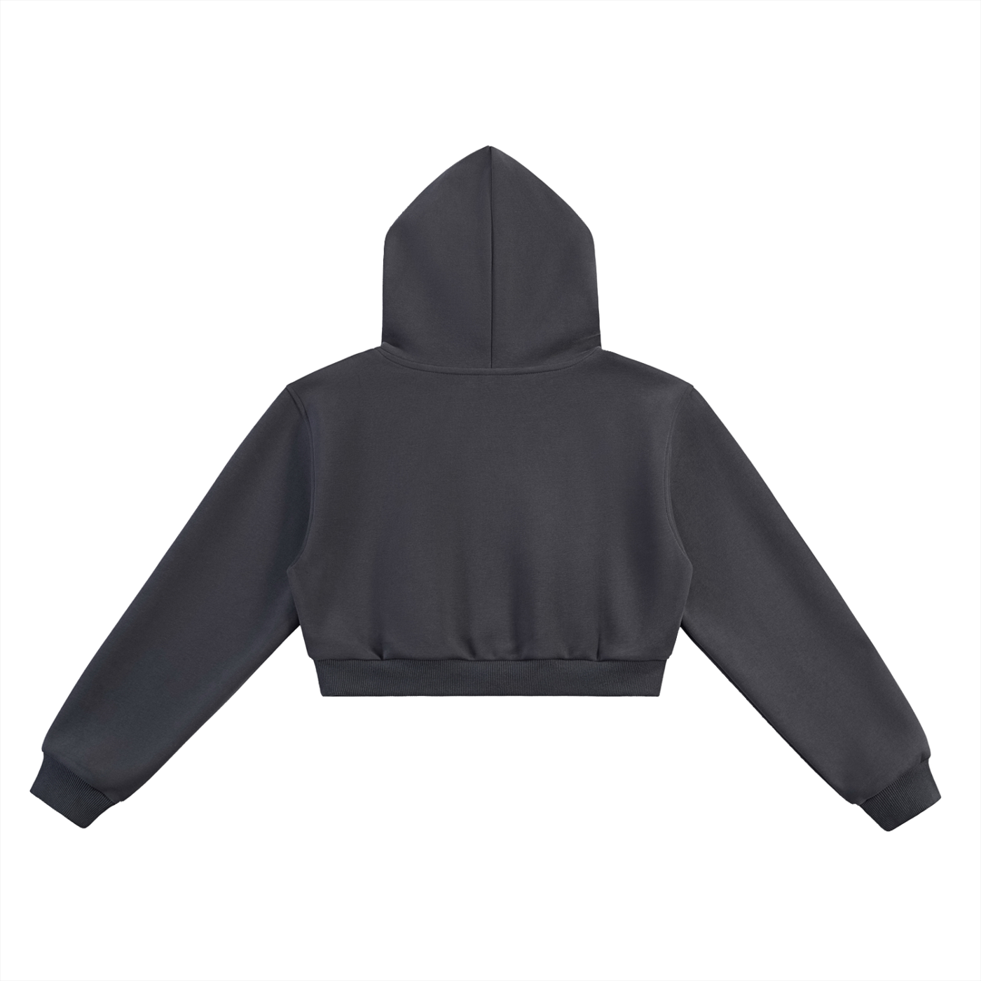 Loved Essential Cropped Hoodie