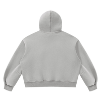 LD Boxy Fleece Hoodie