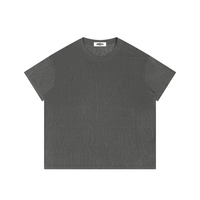 Loved Sheer Lyocell Blend Boxy T-Shirt